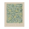 thumbnail image 1 of Stupell Industries Eclectic William Morris Green Tones Canvas Art, 16 x 20, by Lil' Rue, 1 of 8