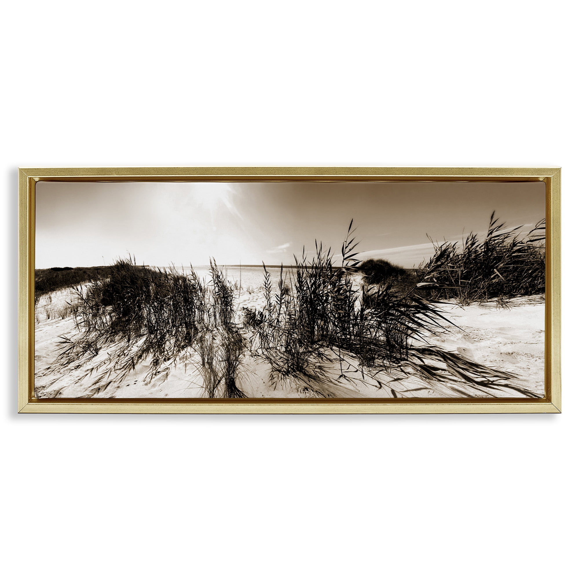 Stupell Industries Wind In The Dunes Coastal Photography Gold Floater Framed Canvas Art Print Wall Art, 25 x 11