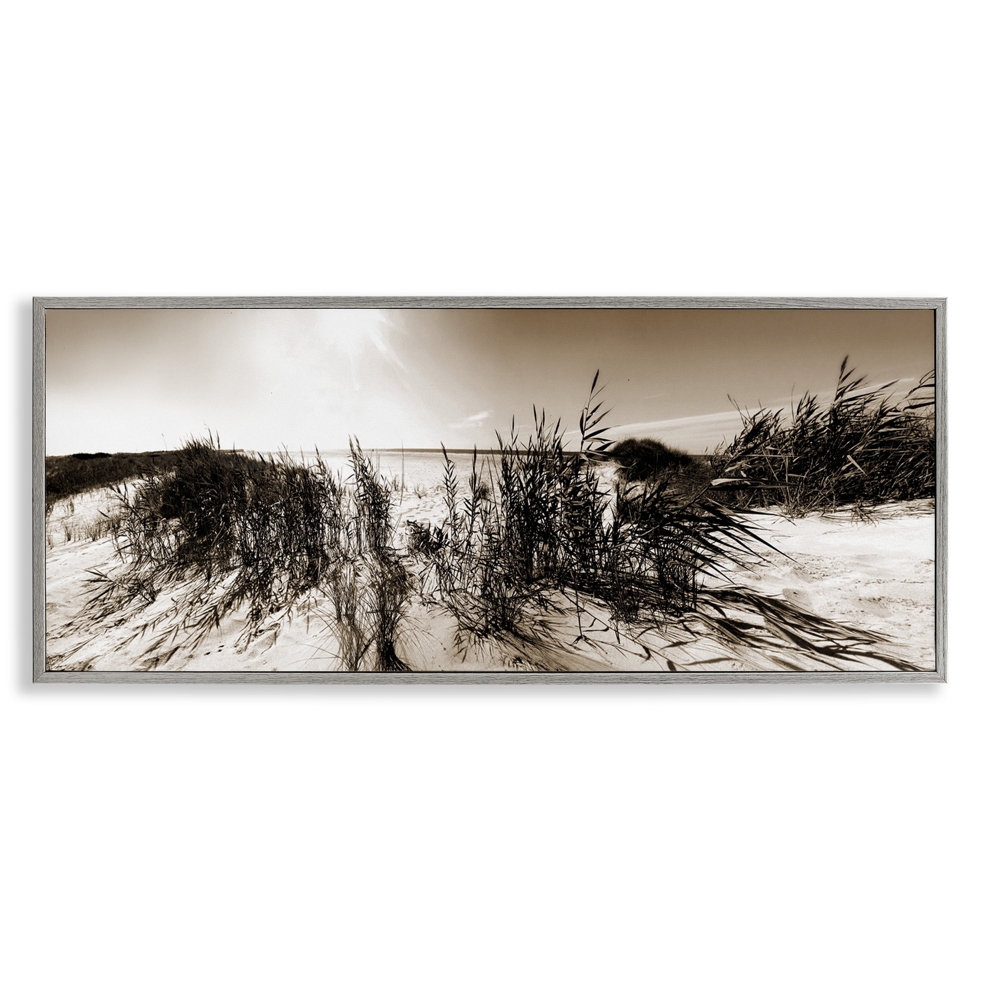 Gray Framed Coastal Dunes Photography Print, 24 x 10