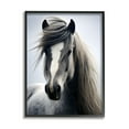 thumbnail image 1 of Stupell Industries Windblown Horse Mane Animals & Insects Photography Black Framed Art Print Wall Art, 11 x 14, 1 of 9