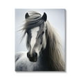 thumbnail image 1 of Stupell Industries Windblown Horse Mane Animals & Insects Photography Gallery Wrapped Canvas Art Print Wall Art, 24 x 30, 1 of 8