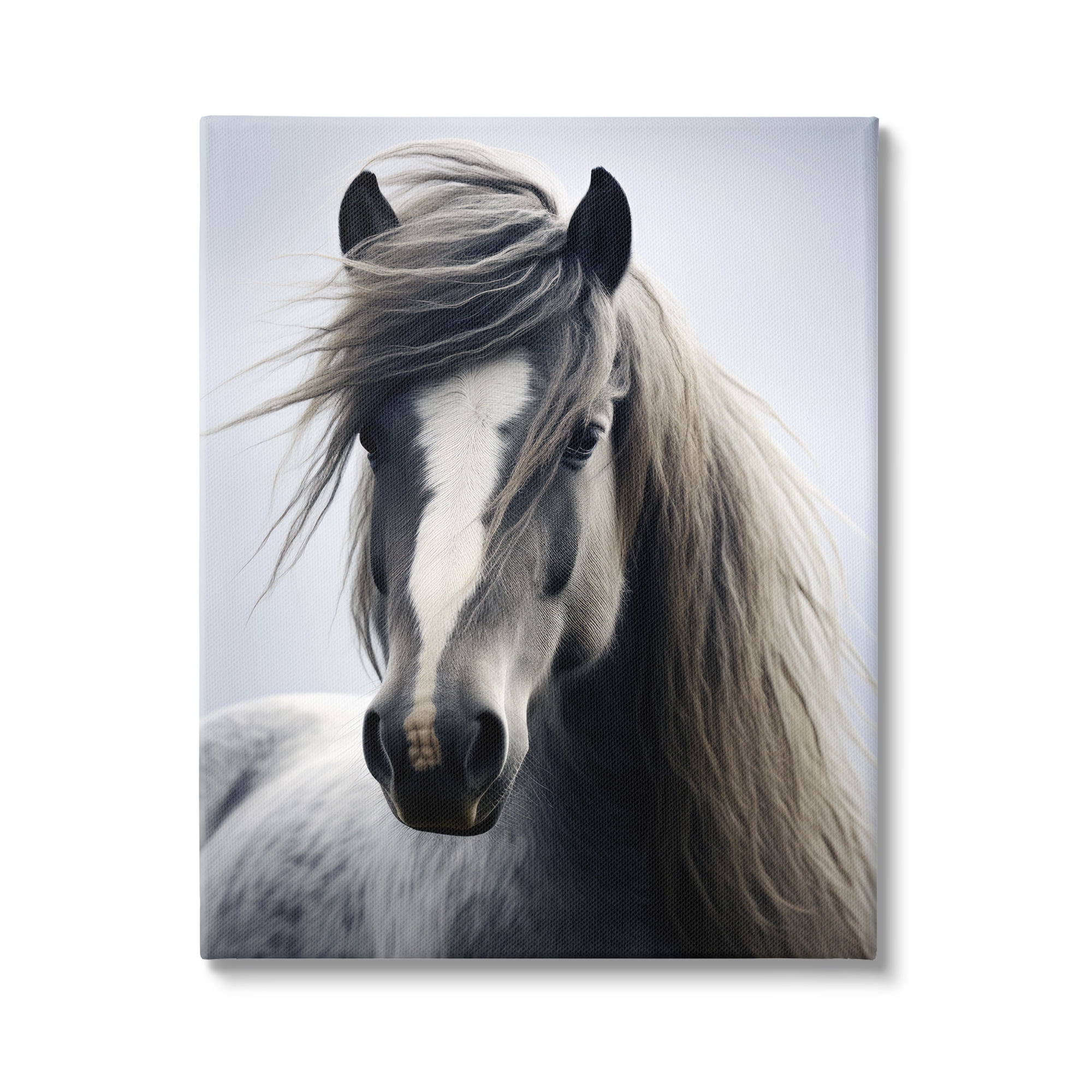 Stupell Industries Windblown Horse Mane Animals & Insects Photography Gallery Wrapped Canvas Art Print Wall Art, 30 x 40