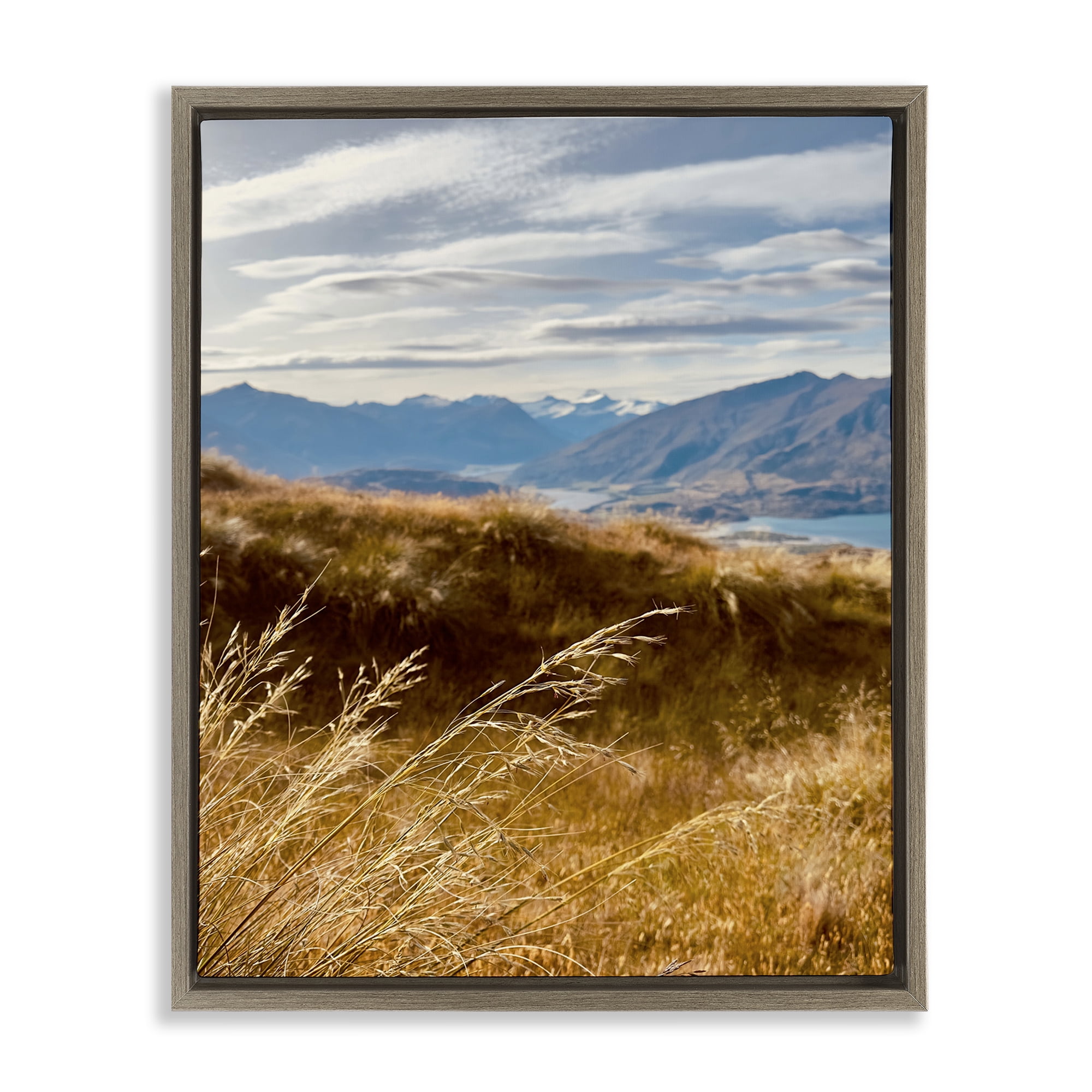 Stupell Industries Windblown Mountain Region Landscape Photography Brown Floater Framed Art Print Wall Art, 17 x 21