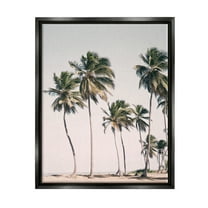 Stupell Industries Windblown Palm Trees Nature Photography Black Floater Framed Art Print Wall Art, 17 x 21