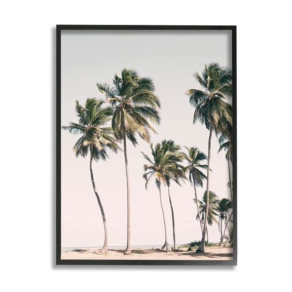 Stupell Industries Windblown Palm Trees Nature Photography Black Framed Art Print Wall Art, 11 x 14