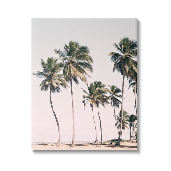 Stupell Industries Windblown Palm Trees Nature Photography Gallery Wrapped Canvas Print Wall Art, 16 x 20