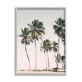 thumbnail image 1 of Stupell Industries Windblown Palm Trees Nature Photography Gray Framed Art Print Wall Art, 16 x 20, 1 of 8