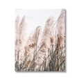 thumbnail image 1 of Stupell Industries Windblown Reeds Photography Botanical & Floral Photography Gallery Wrapped Canvas Print Wall Art, 16 x 20, 1 of 7