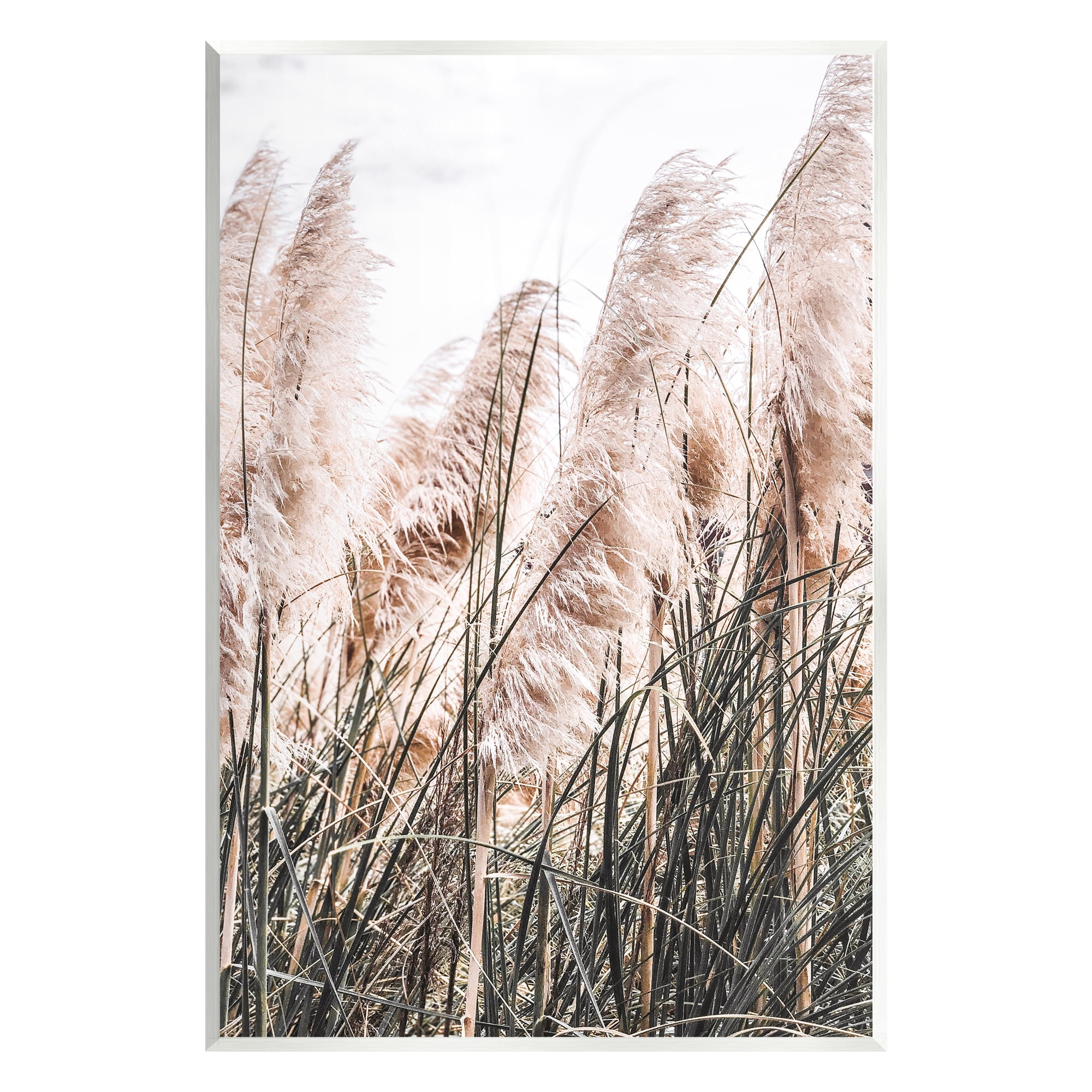 Stupell Industries Windblown Reeds Photography Botanical & Floral Photography Unframed Art Print Wall Art, 13 x 19