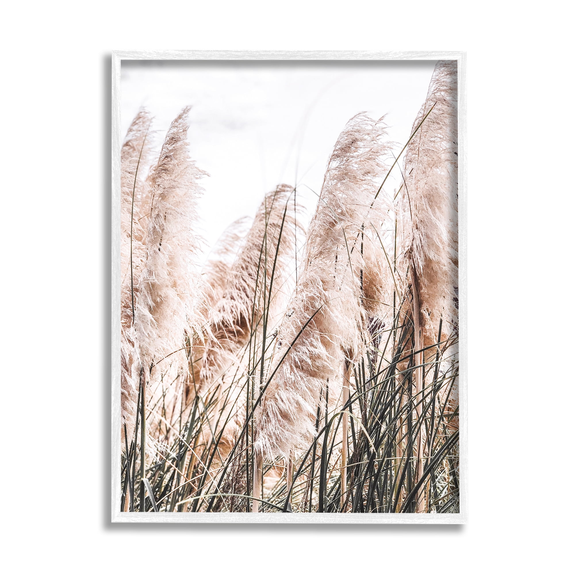Stupell Industries Windblown Reeds Photography Botanical & Floral Photography White Framed Art Print Wall Art, 11 x 14