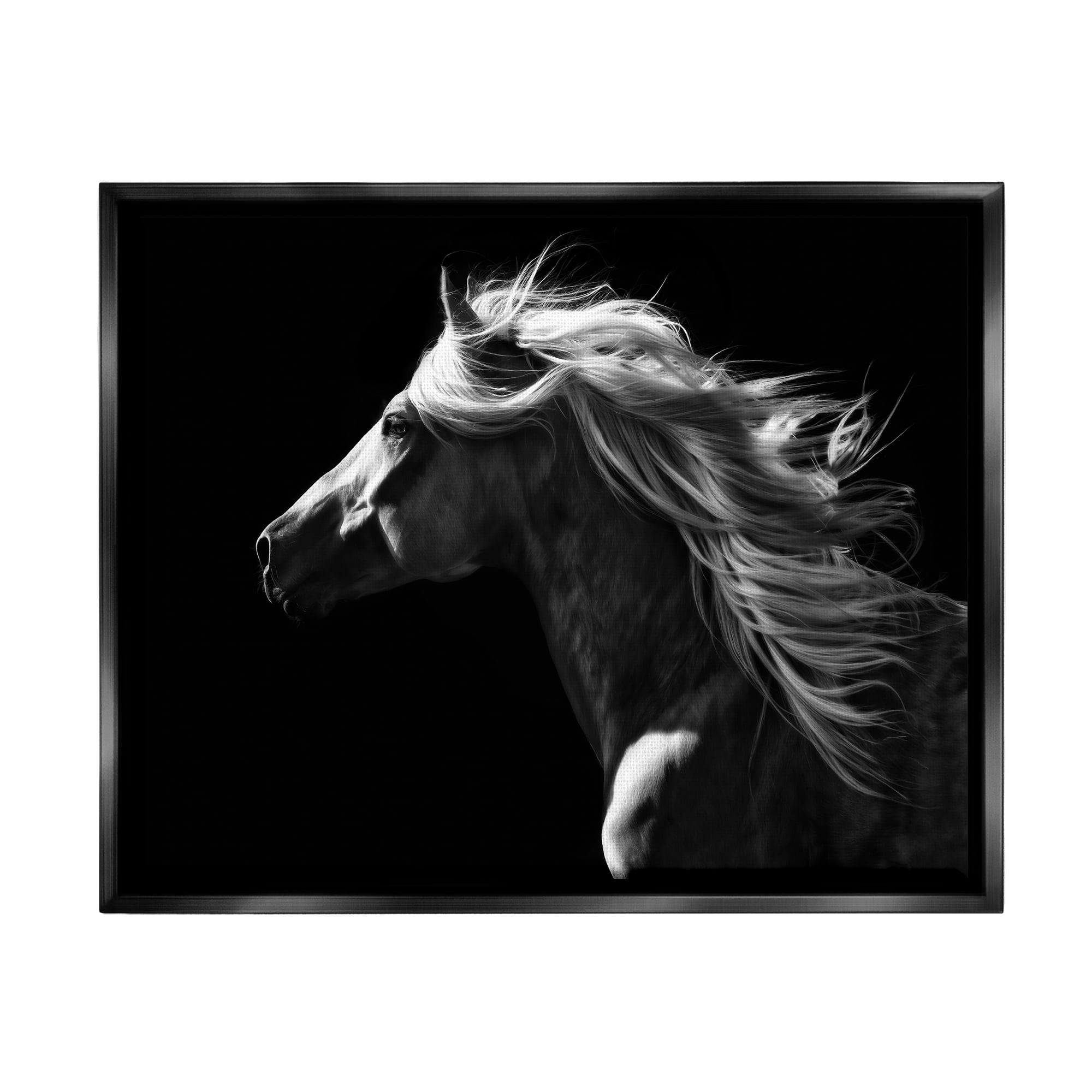 Stupell Industries Windblown Stallion Mane Animals & Insects Photography Black Floater Framed Canvas Art Print Wall Art, 21 x 17