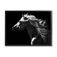 thumbnail image 1 of Stupell Industries Windblown Stallion Mane Animals & Insects Photography Black Framed Art Print Wall Art, 30 x 24, 1 of 9