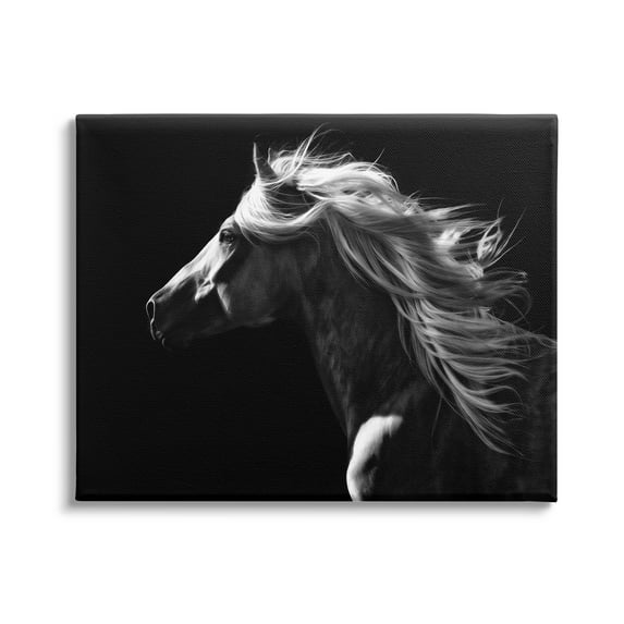 Stupell Industries Windblown Stallion Mane Animals & Insects Photography Gallery Wrapped Canvas Art Print Wall Art, 30 x 24