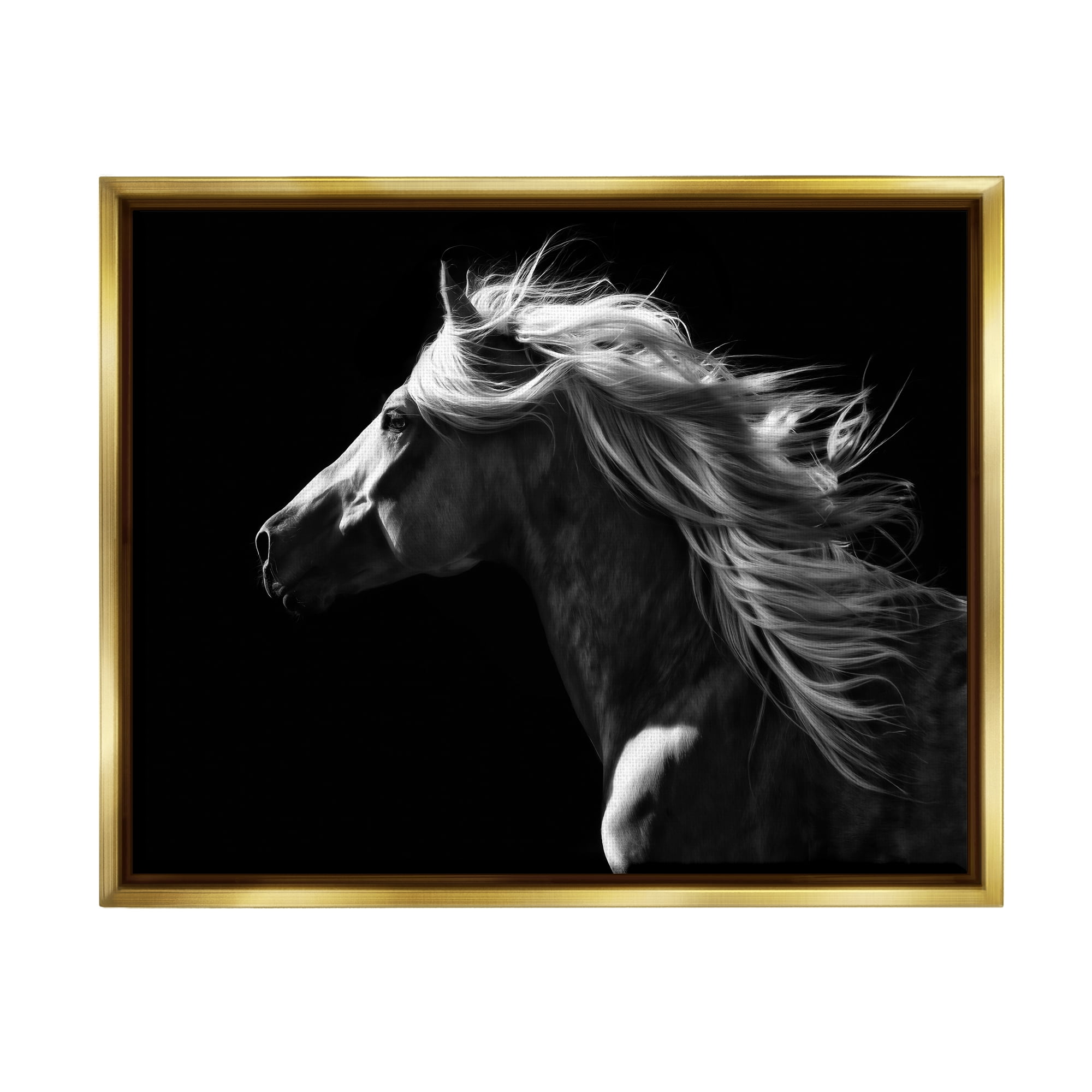 Stupell Industries Windblown Stallion Mane Animals & Insects Photography Gold Floater Framed Canvas Art Print Wall Art, 31 x 25