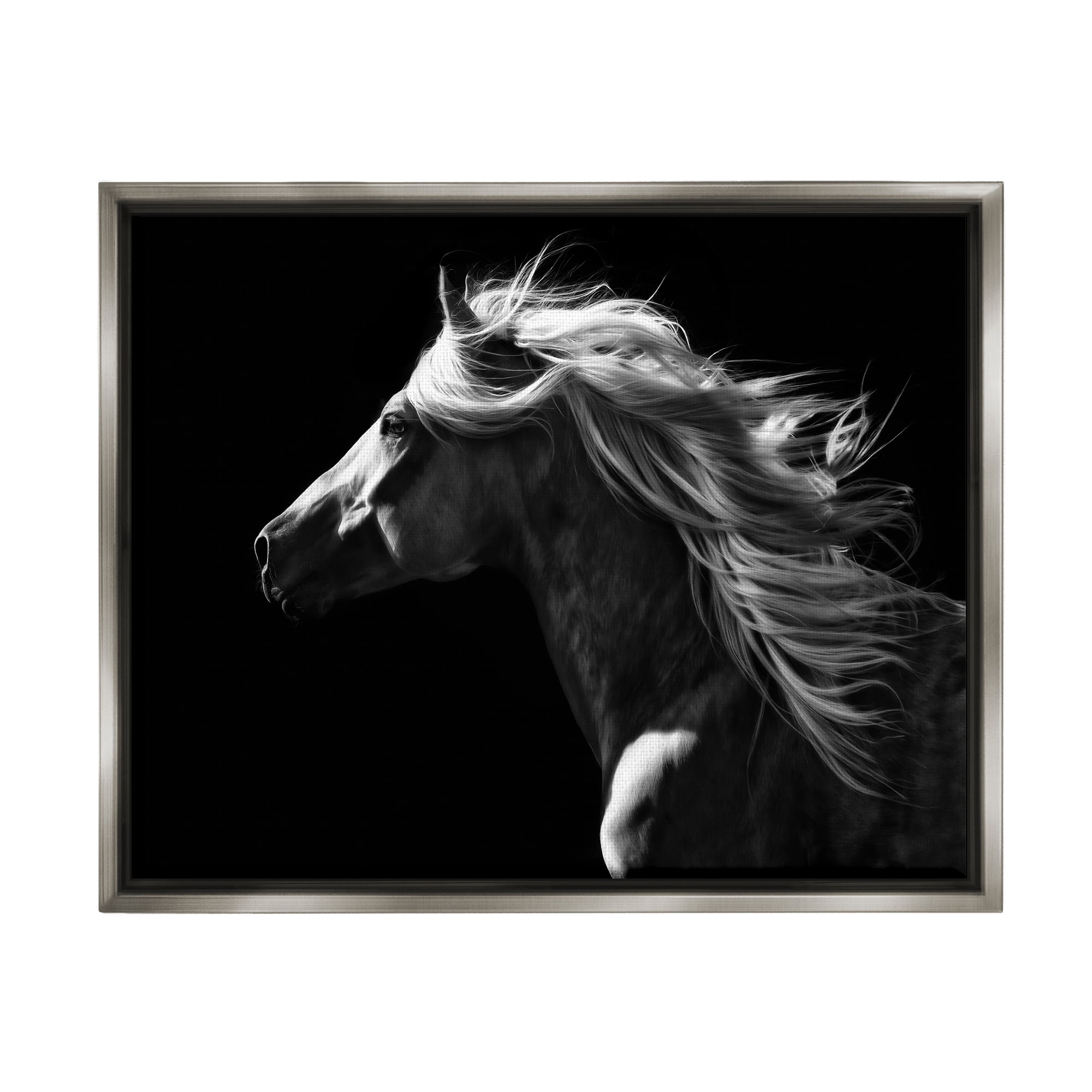 Stupell Industries Windblown Stallion Mane Animals & Insects Photography Gray Floater Framed Canvas Art Print Wall Art, 21 x 17