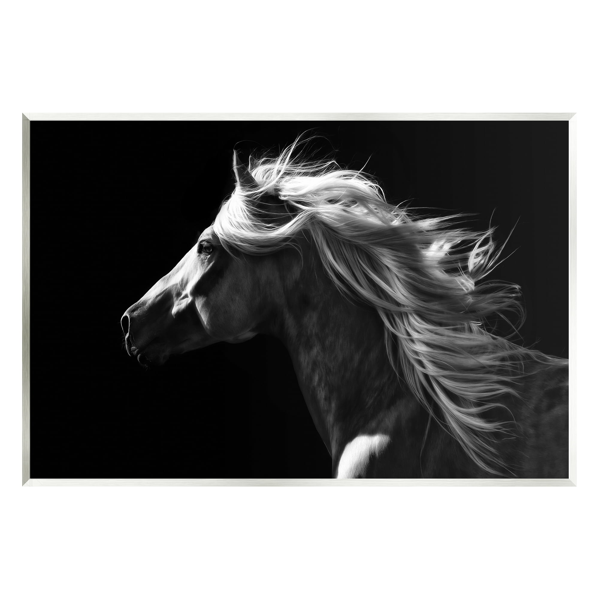 Stupell Industries Windblown Stallion Mane Animals & Insects Photography Unframed Art Print Wall Art, 15 x 10