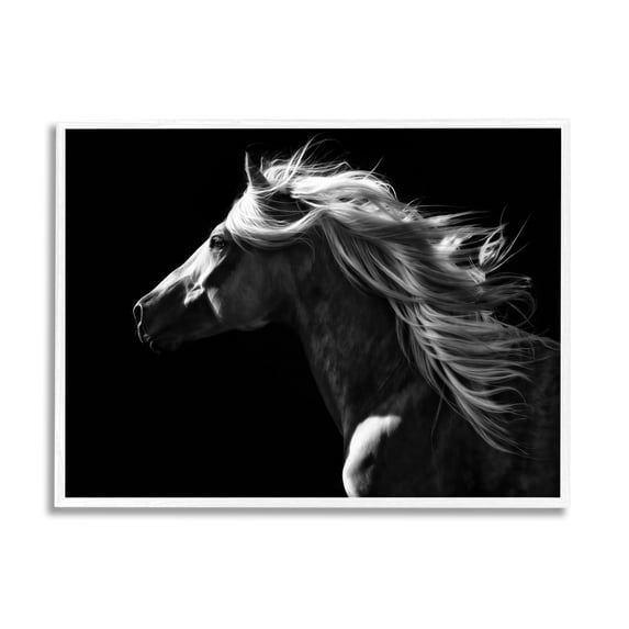 Stupell Industries Windblown Stallion Mane Animals & Insects Photography White Framed Art Print Wall Art, 14 x 11