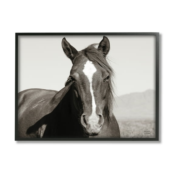Stupell Industries Windblown Stallion Portrait Animals & Insects Photography Black Framed Art Print Wall Art, 14 x 11
