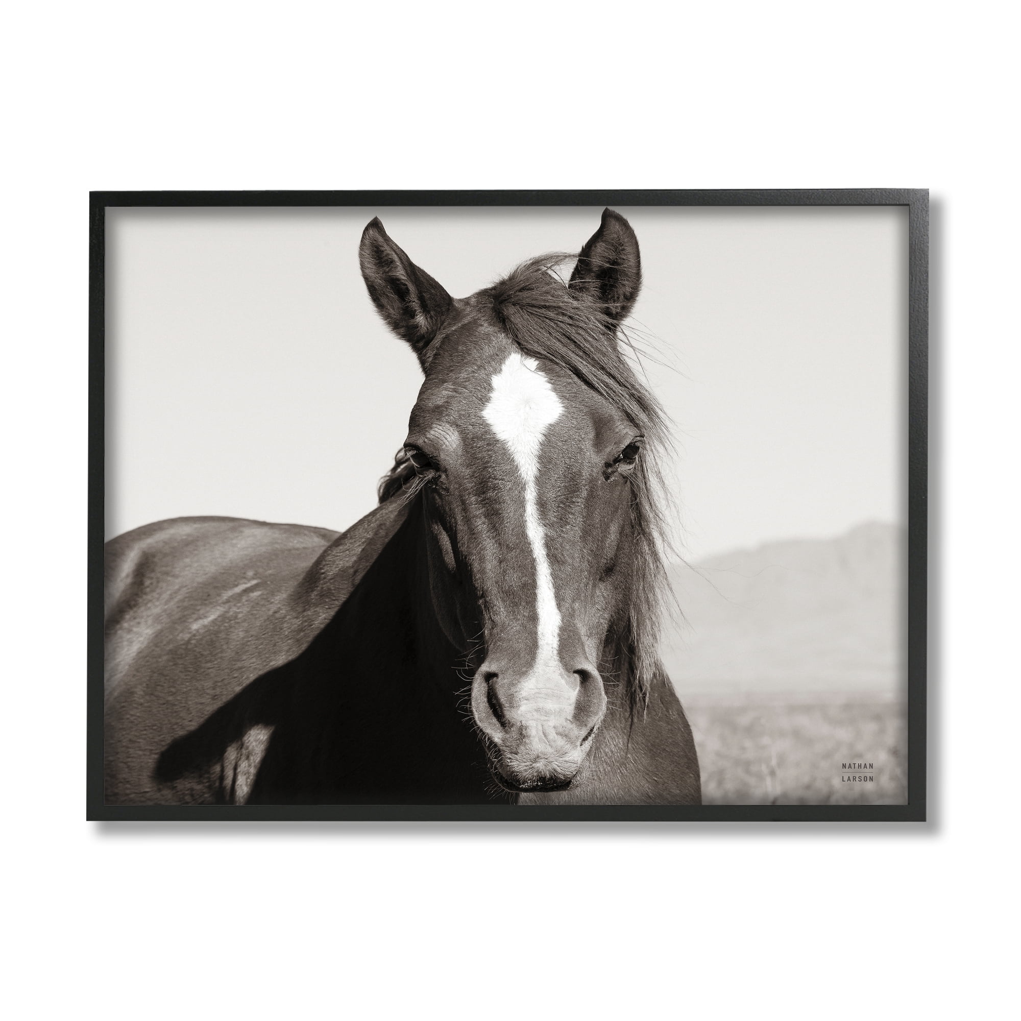 Stupell Industries Windblown Stallion Portrait Animals & Insects Photography Black Framed Art Print Wall Art, 30 x 24