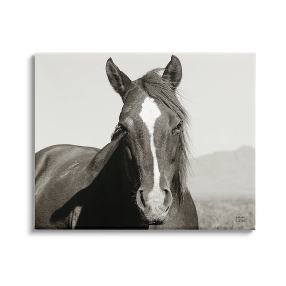 Stupell Industries Windblown Stallion Portrait Animals & Insects Photography Gallery Wrapped Canvas Print Wall Art, 40 x 30