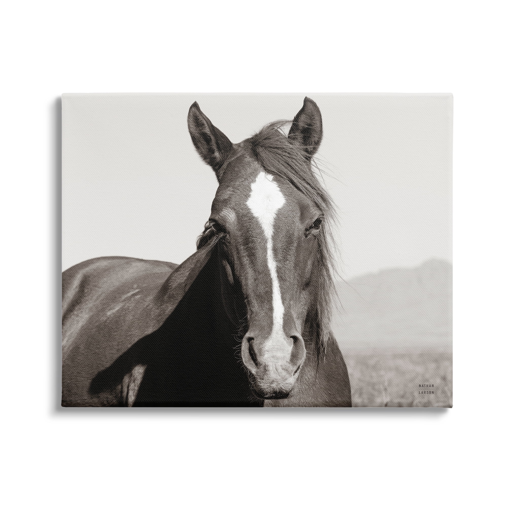 Stupell Industries Windblown Stallion Portrait Animals & Insects Photography Gallery Wrapped Canvas Print Wall Art, 48 x 36