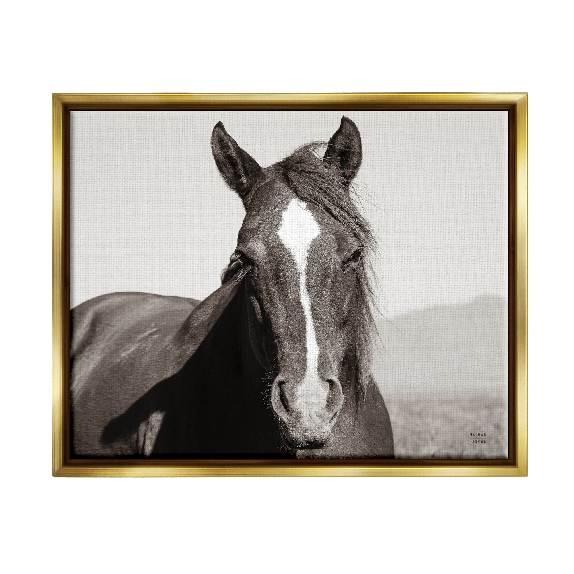 Stupell Industries Windblown Stallion Portrait Animals & Insects Photography Gold Floater Framed Art Print Wall Art, 21 x 17