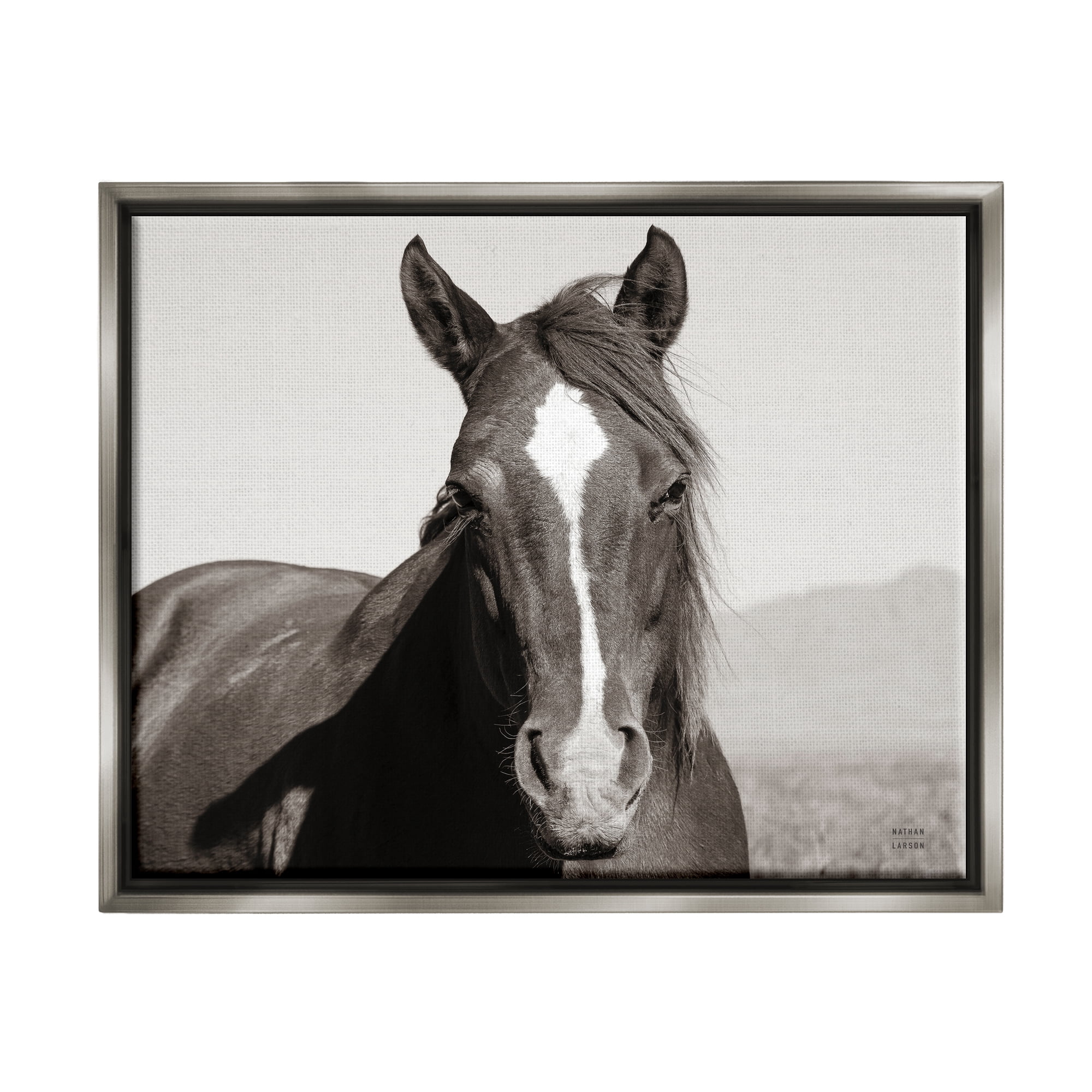 Stupell Industries Windblown Stallion Portrait Animals & Insects Photography Gray Floater Framed Art Print Wall Art, 21 x 17