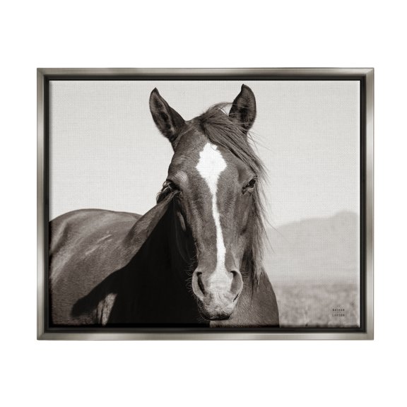 Stupell Industries Windblown Stallion Portrait Animals & Insects Photography Gray Floater Framed Art Print Wall Art, 31 x 25