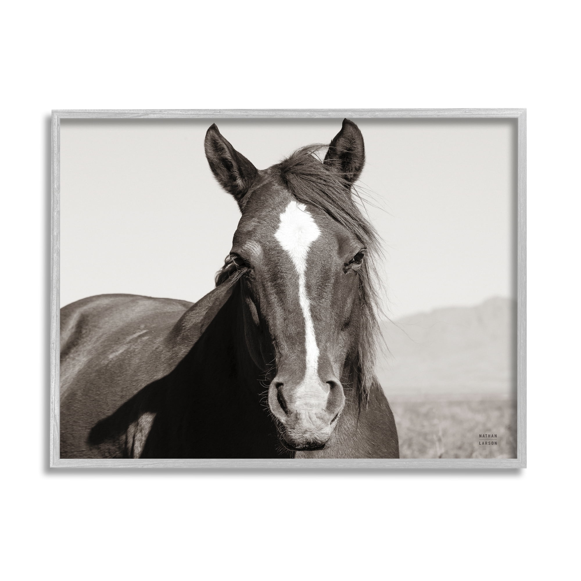 Stupell Industries Windblown Stallion Portrait Animals & Insects Photography Gray Framed Art Print Wall Art, 20 x 16