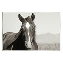 Stupell Industries Windblown Stallion Portrait Animals & Insects Photography Unframed Art Print Wall Art, 15 x 10