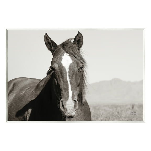 Stupell Industries Windblown Stallion Portrait Animals & Insects Photography Unframed Art Print Wall Art, 15 x 10