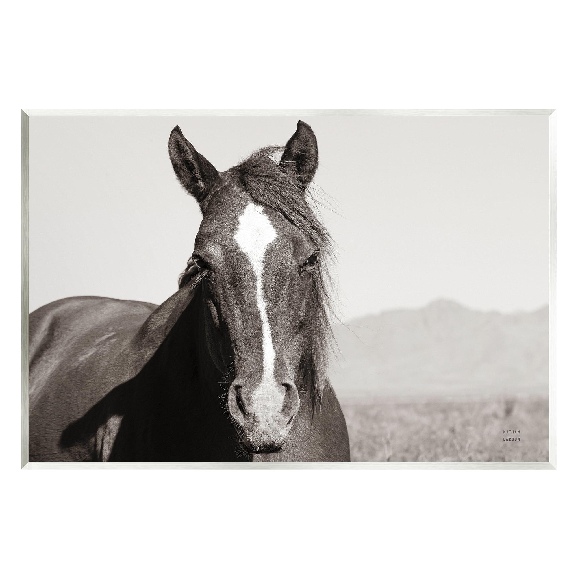 Stupell Industries Windblown Stallion Portrait Animals & Insects Photography Unframed Art Print Wall Art, 19 x 13