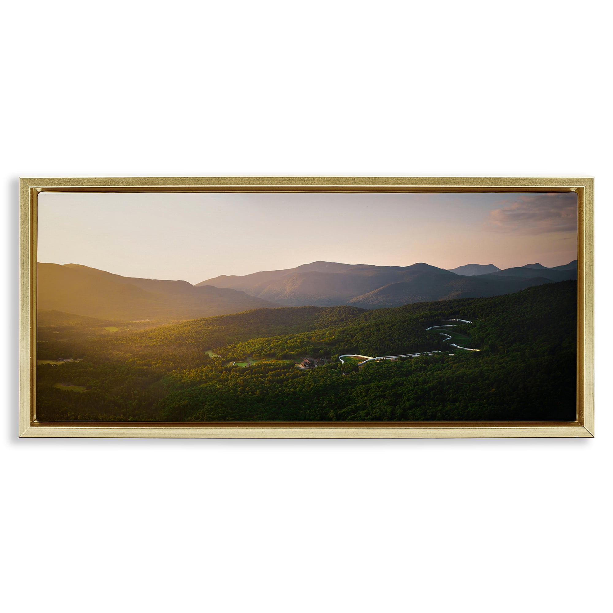 Stupell Industries Winding Road Through Forested Mountains Gold Framed Floater Canvas Wall Art, design by Jonathan Zaharek