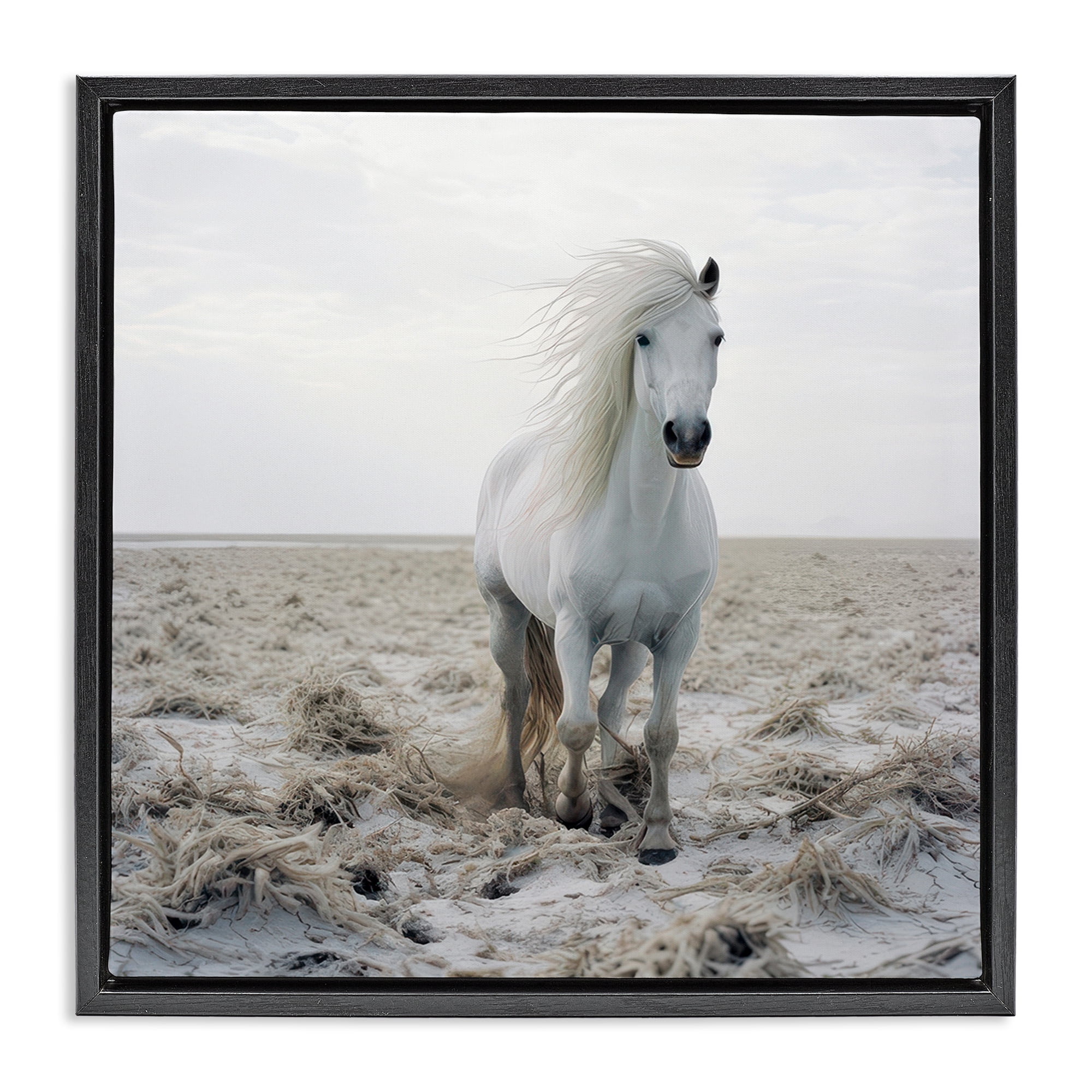 Stupell Industries Windswept Beach Horse Animals Photography Black Floater Framed Canvas Art Print Wall Art, 25 x 25