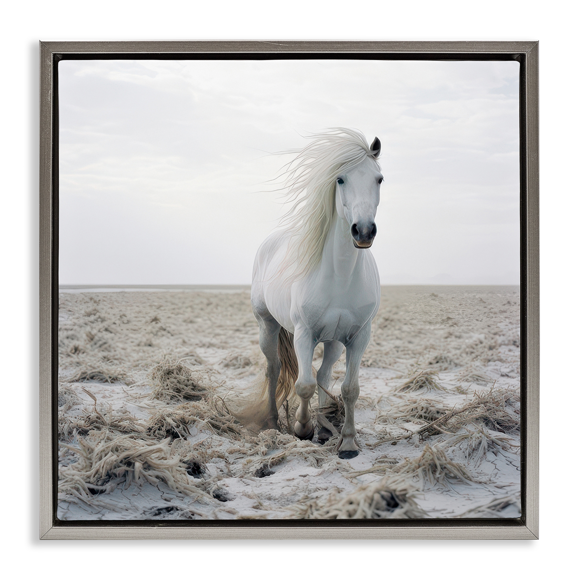 Stupell Industries Windswept Beach Horse Animals Photography Gray Floater Framed Canvas Art Print Wall Art, 25 x 25