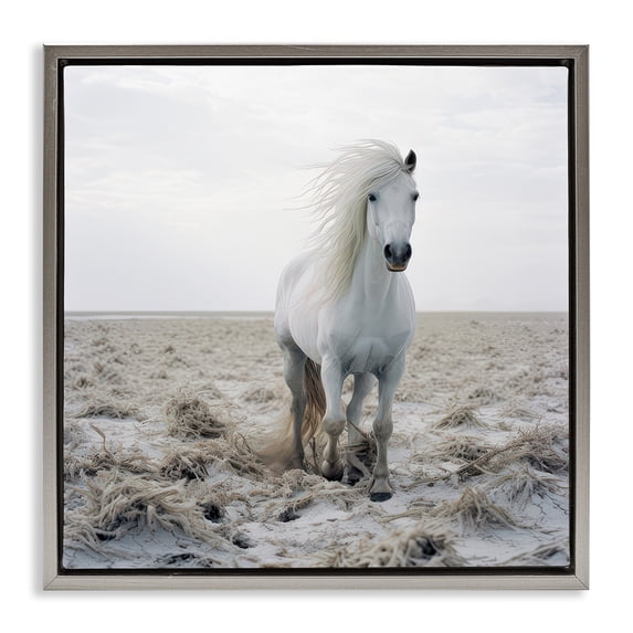 Stupell Industries Windswept Beach Horse Animals Photography Gray Floater Framed Canvas Art Print Wall Art, 25 x 25