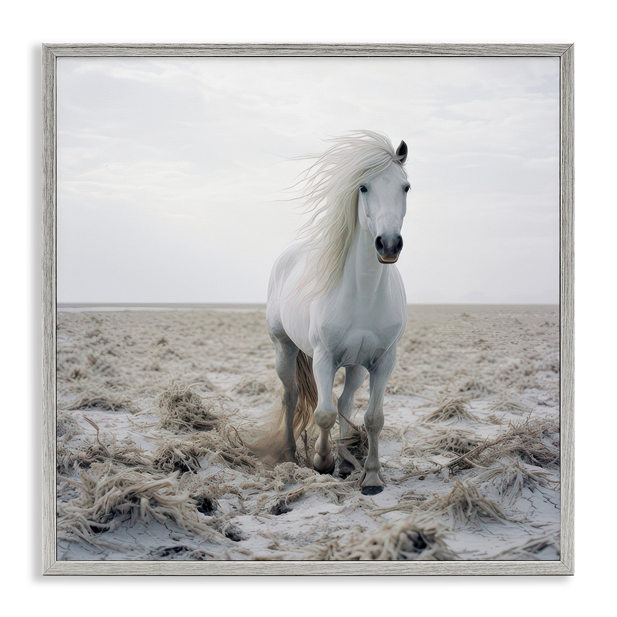 Stupell Industries Windswept Beach Horse Animals Photography Gray Framed Art Print Wall Art, 24 x 24