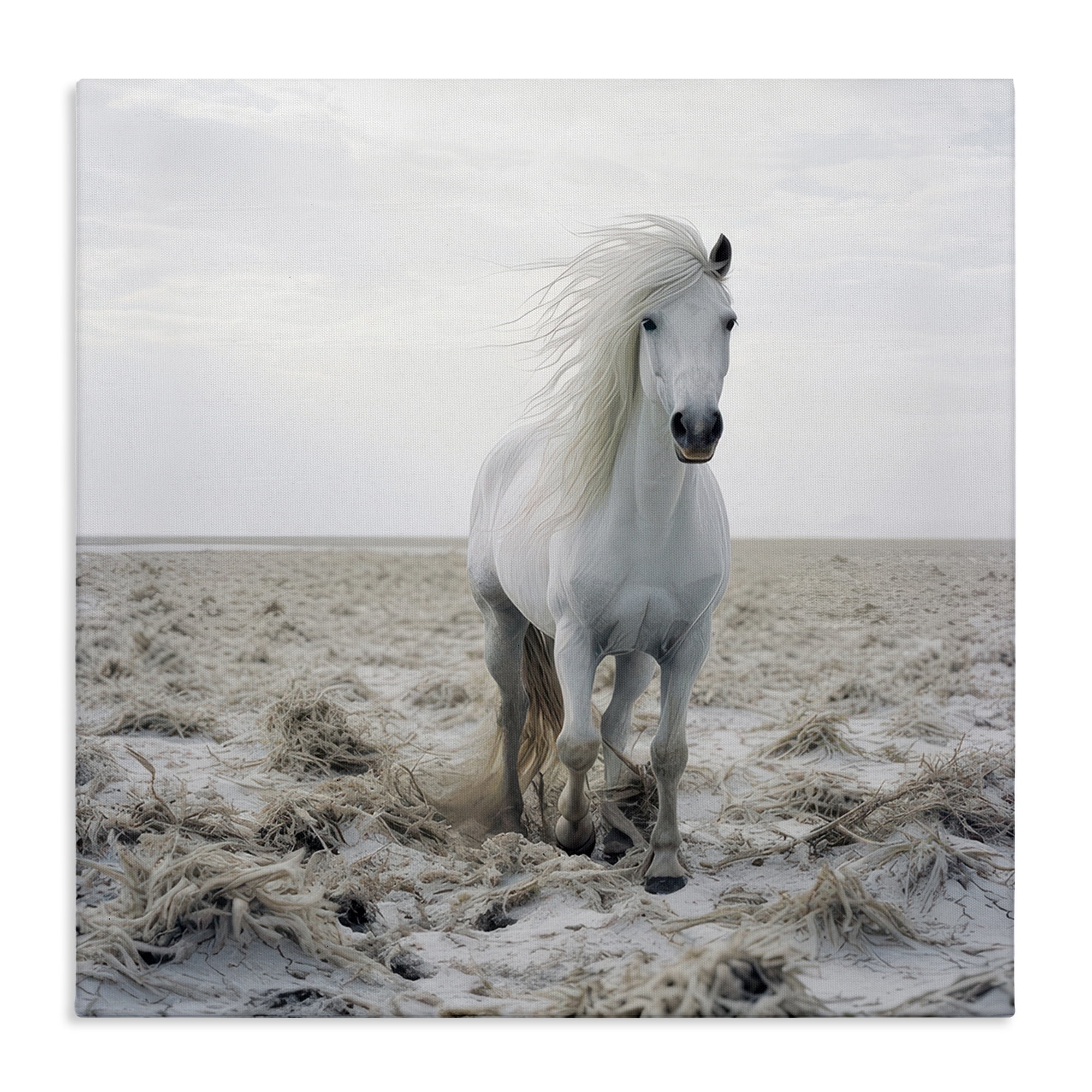 Stupell Industries Windswept Beach Horse Animals Photography Wrapped Canvas Art Print Wall Art, 24 x 24