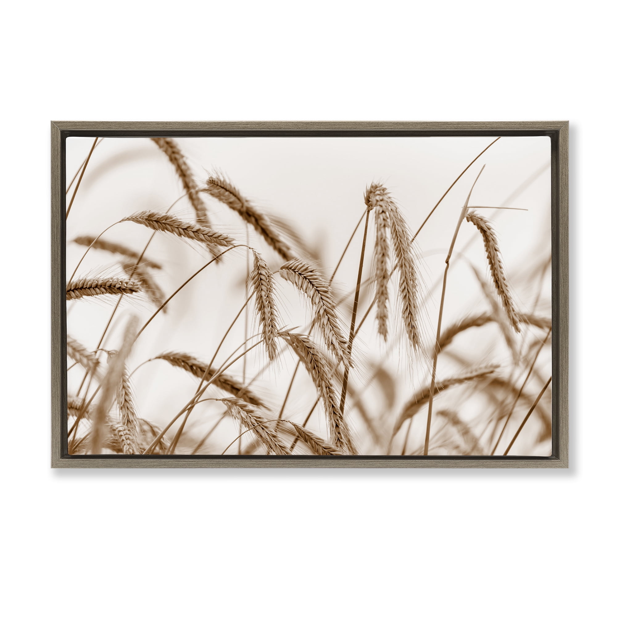 Stupell Industries Windswept Wheat Sprigs Plants & Flowers Photography Brown Floater Framed Canvas Art Print Wall Art, 25 x 17