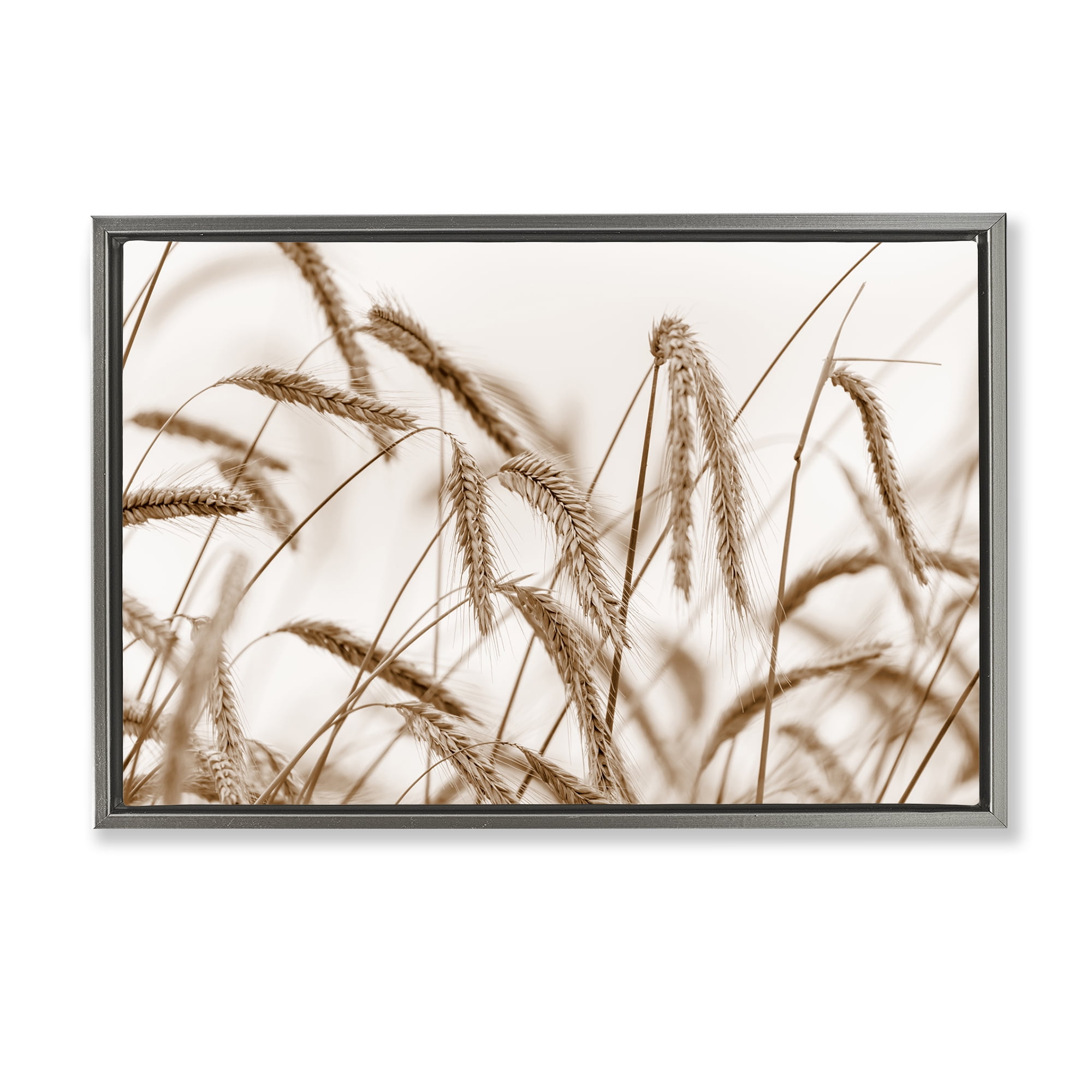 Stupell Industries Windswept Wheat Sprigs Plants & Flowers Photography Gray Floater Framed Canvas Art Print Wall Art, 31 x 21