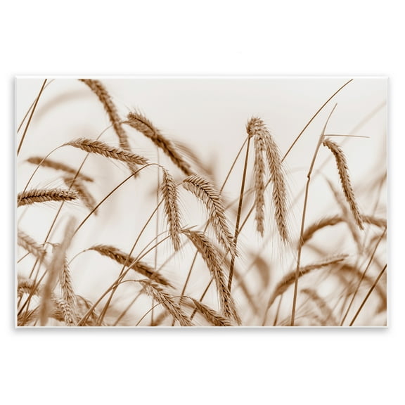 Stupell Industries Windswept Wheat Sprigs Plants & Flowers Photography Unframed Art Print Wall Art, 15 x 10