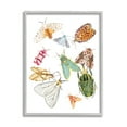 thumbnail image 1 of Stupell Industries Winged Insect Group Tropical Color Bugs, 11 x 14, Designed by Melissa Wang, 1 of 6