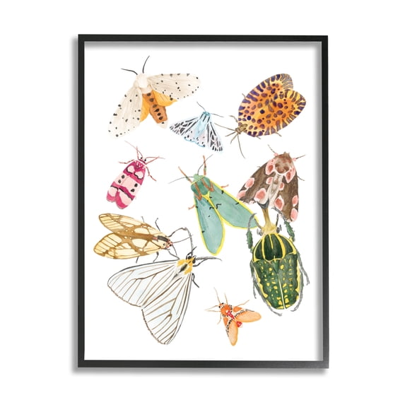 Stupell Industries Winged Insect Group Tropical Color Bugs, 16 x 20, Designed by Melissa Wang