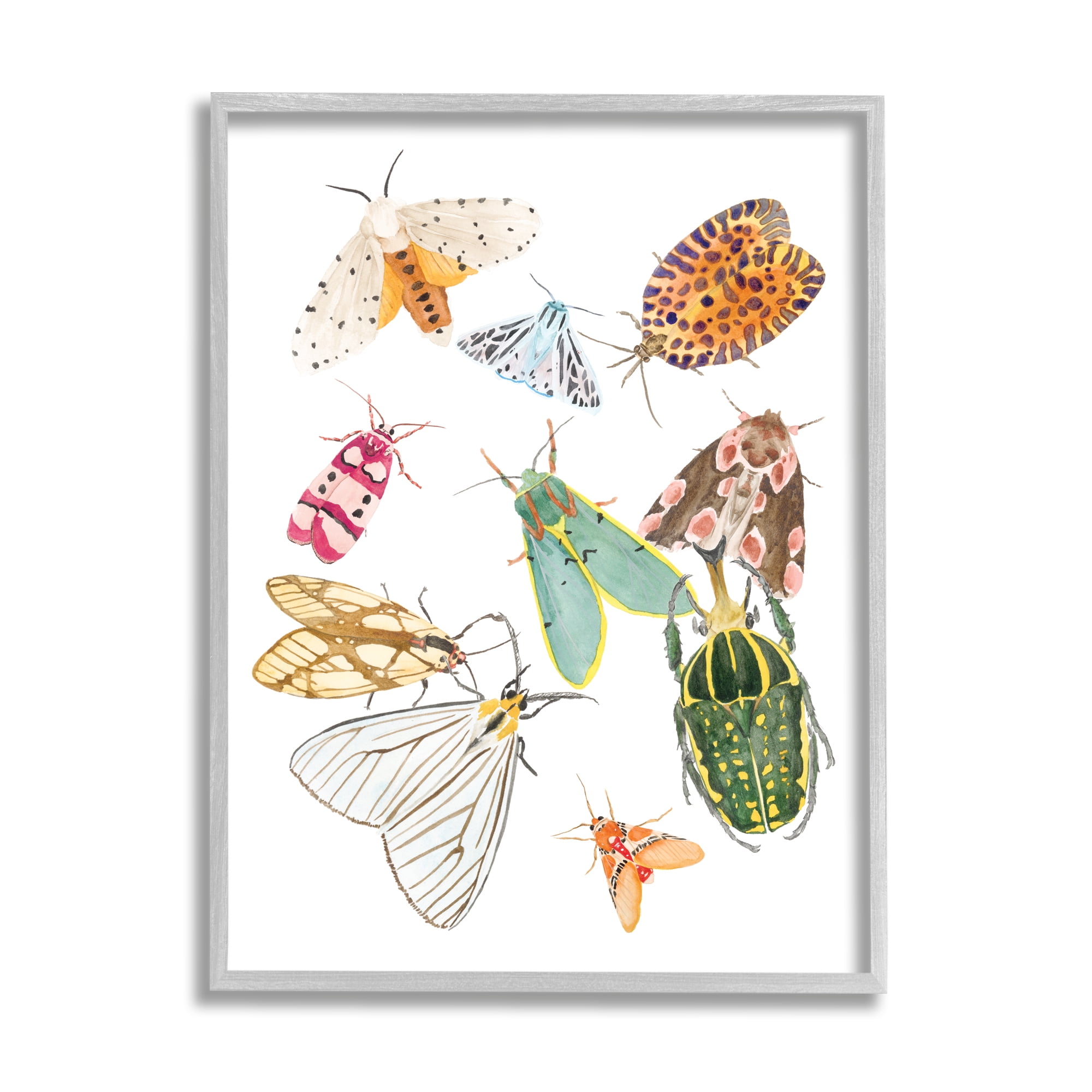Stupell Industries Winged Insect Group Tropical Color Bugs, 16 x 20, Designed by Melissa Wang