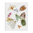 thumbnail image 1 of Stupell Industries Eclectic Winged Insect Group Tropical Color Bugs Canvas Art, 16 x 20, by Melissa Wang, 1 of 7