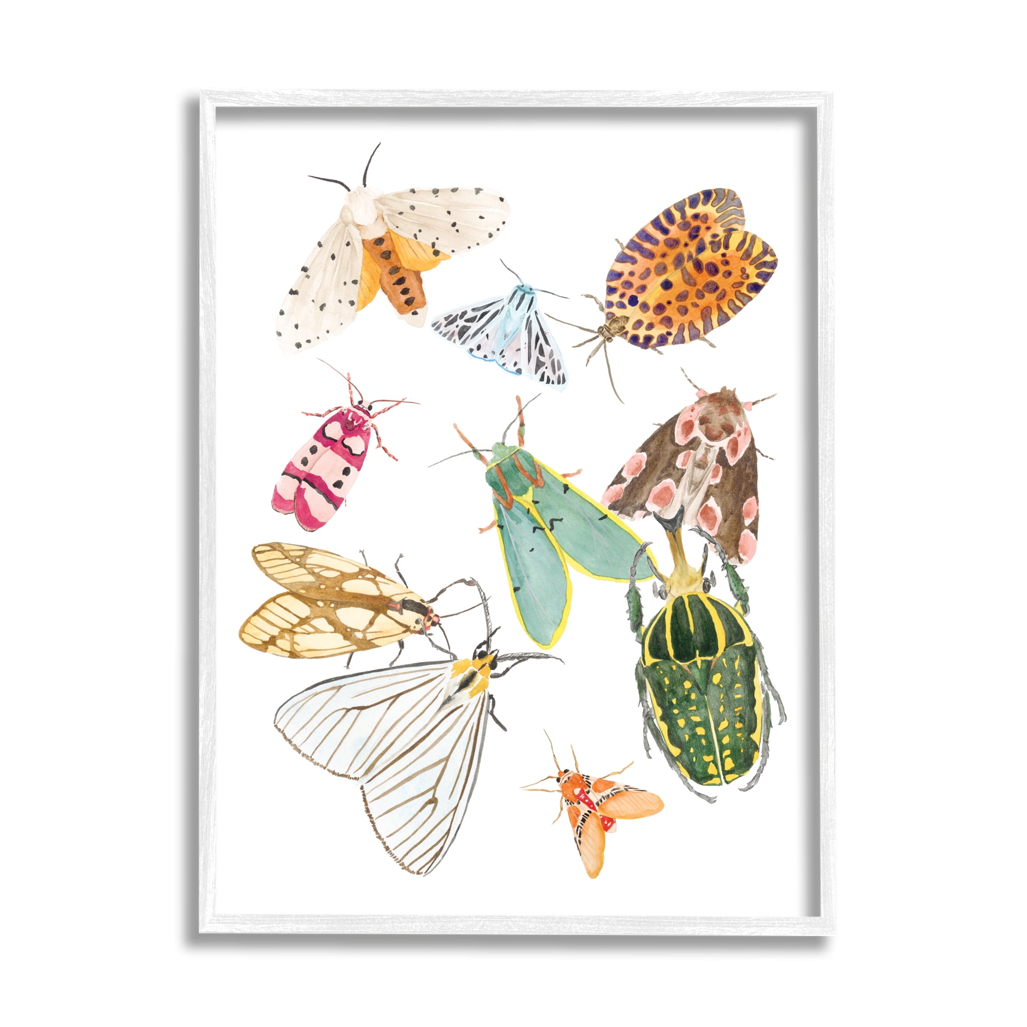 Stupell Industries Winged Insect Group Tropical Color Bugs, 24 x 30, Designed by Melissa Wang