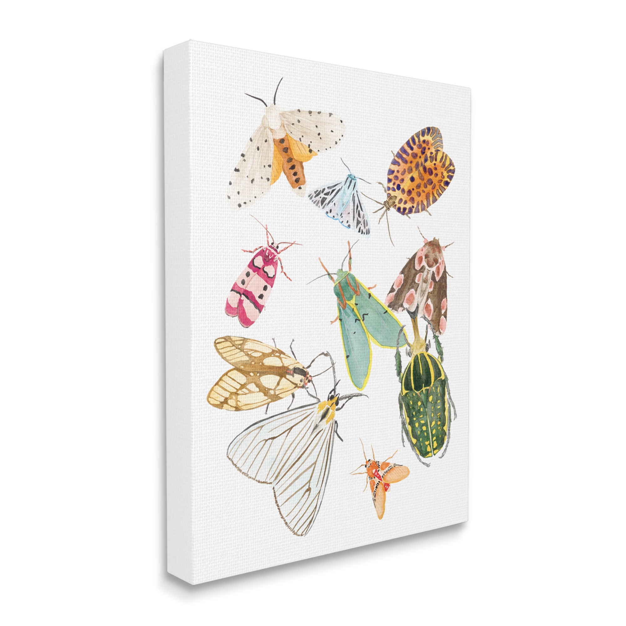Stupell Industries Winged Insect Group Tropical Color Bugs, 24 x 30, Designed by Melissa Wang