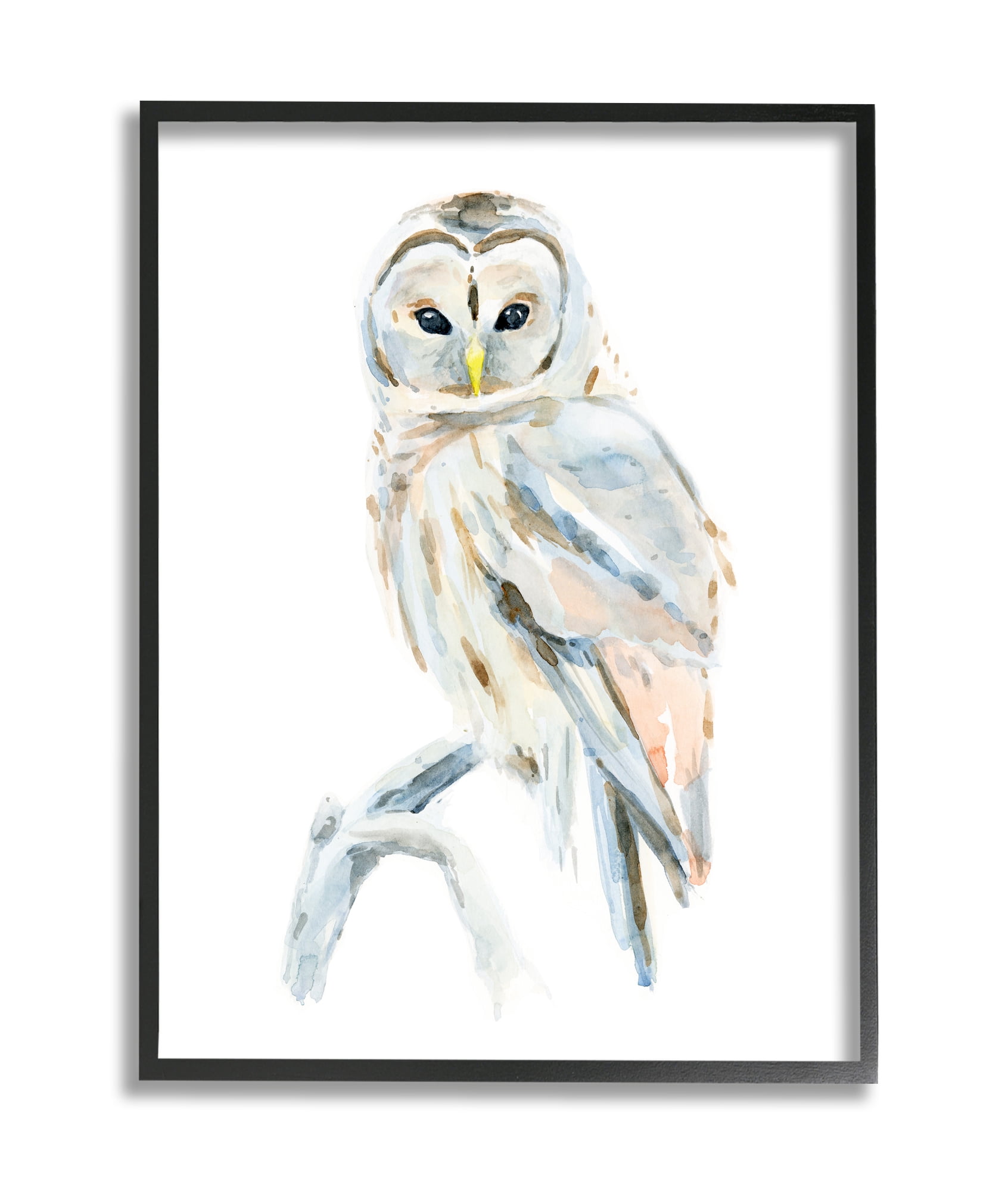 Stupell Industries Winter Artic Owl Portrait Perched on Tree Branch Black Framed, 11 x 14, Design by Annie Warren