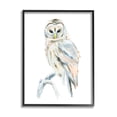thumbnail image 1 of Stupell Industries Winter Artic Owl Portrait Perched on Tree Branch Black Framed, 11 x 14, Design by Annie Warren, 1 of 8