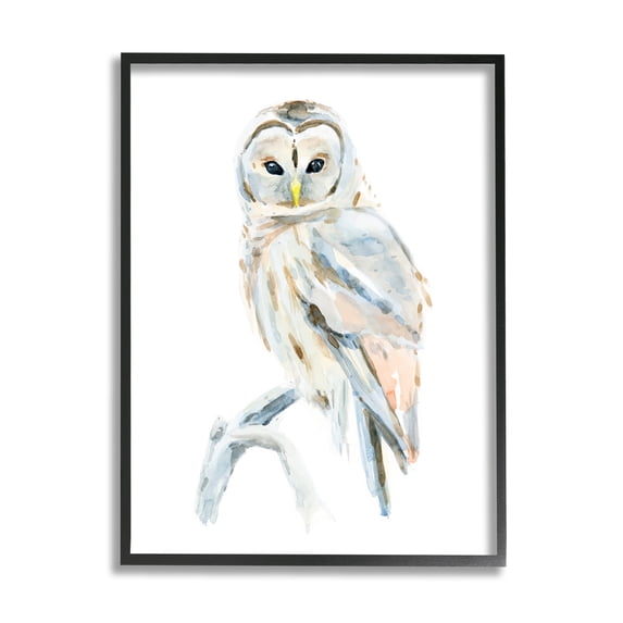 Stupell Industries Winter Artic Owl Portrait Perched on Tree Branch Black Framed, 11 x 14, Design by Annie Warren